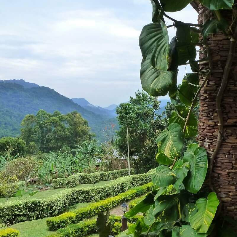 Silverback Lodge