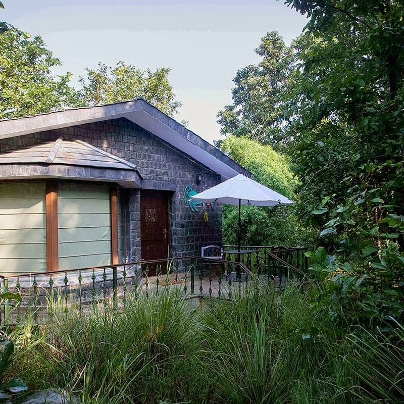 Singinawa Jungle Lodge