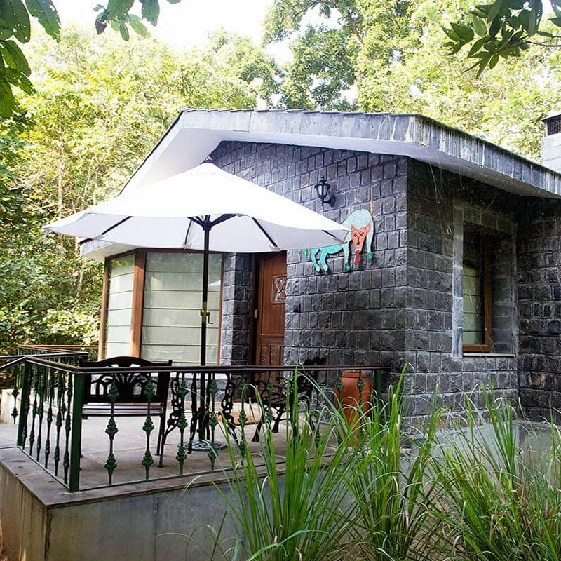 Singinawa Jungle Lodge