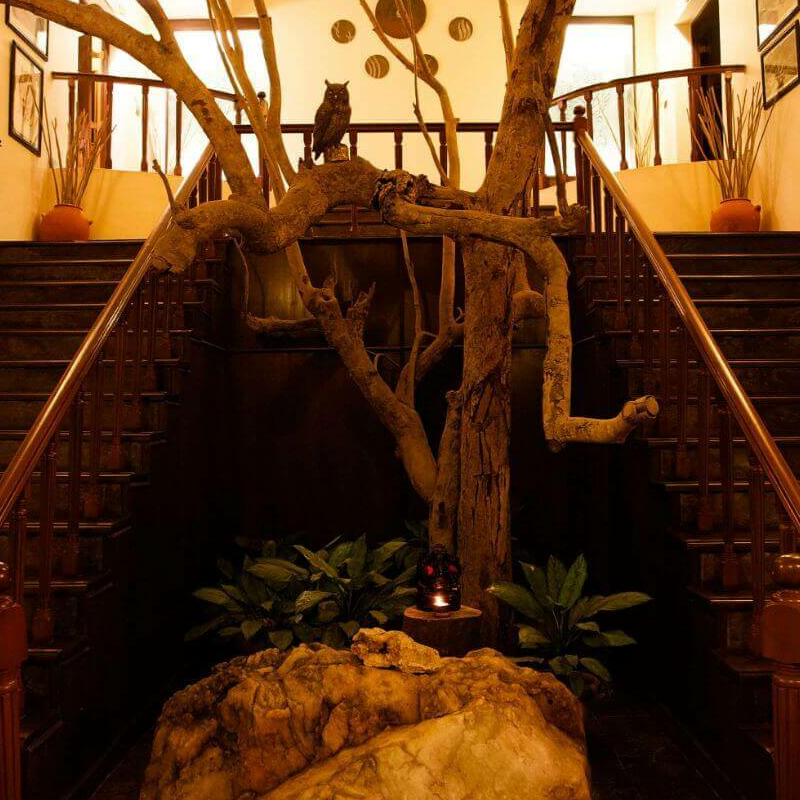 Singinawa Jungle Lodge