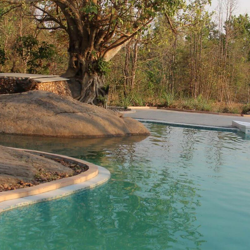 Singinawa Jungle Lodge