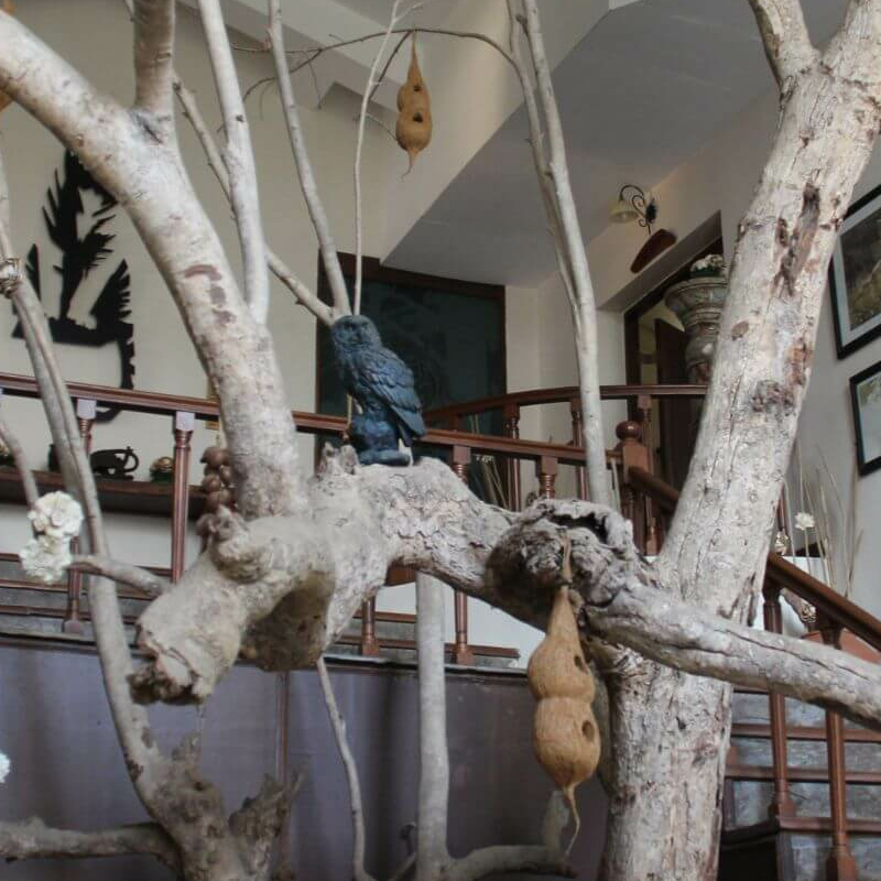 Singinawa Jungle Lodge