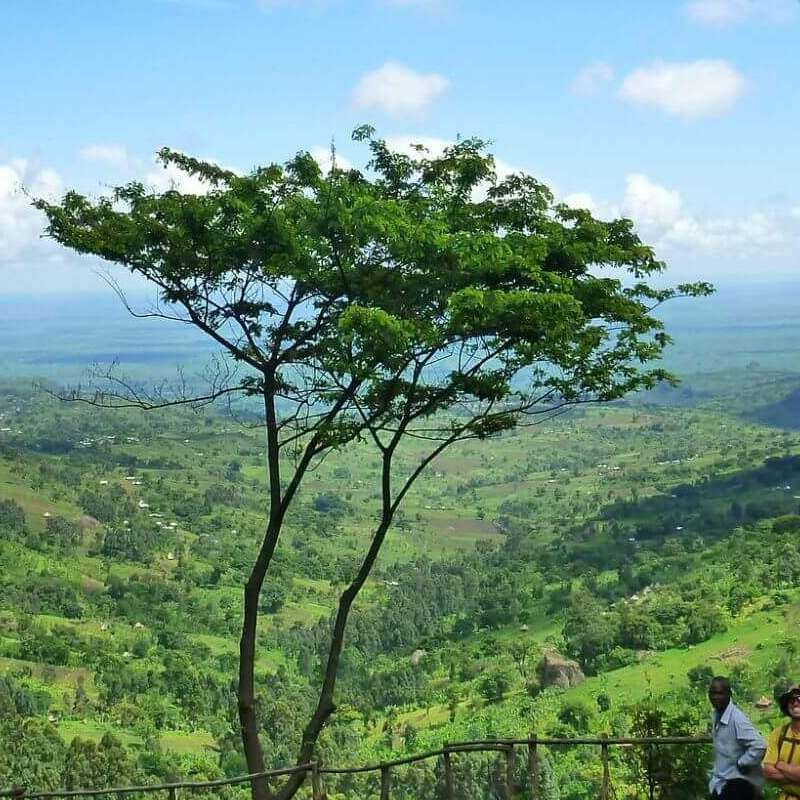 Sipi River Lodge