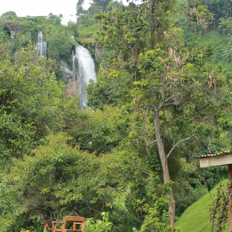 Sipi River Lodge