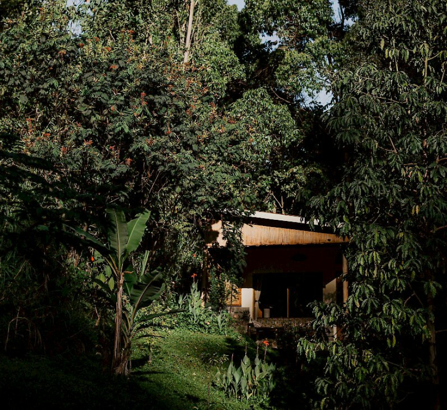 Sipi River Lodge