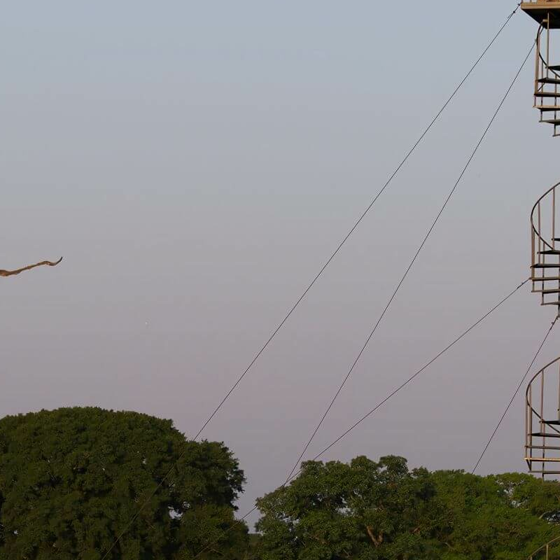 South Wild Pantanal Lodge