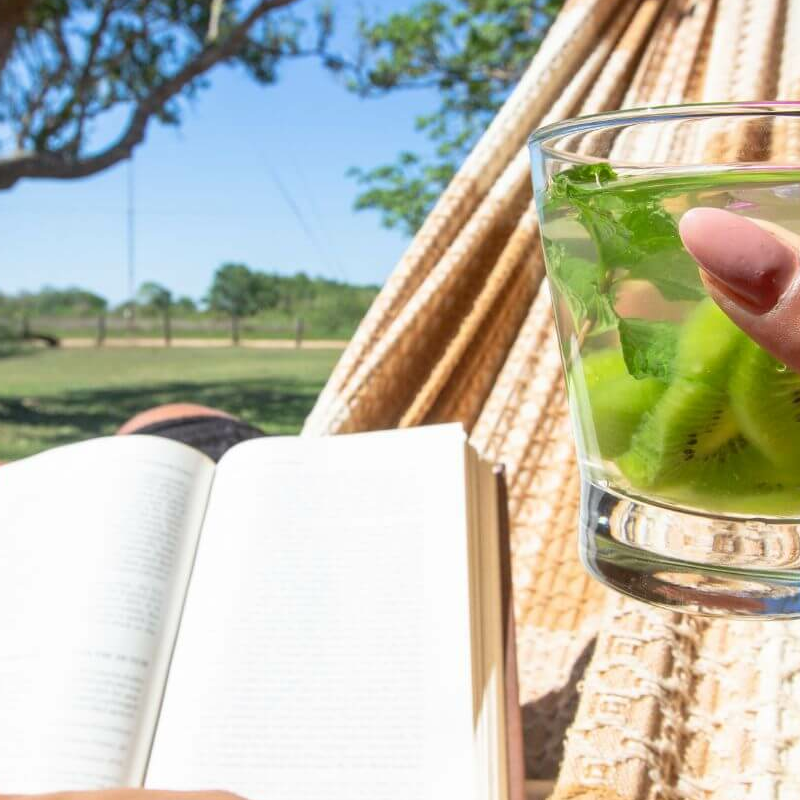 South Wild Pantanal Lodge