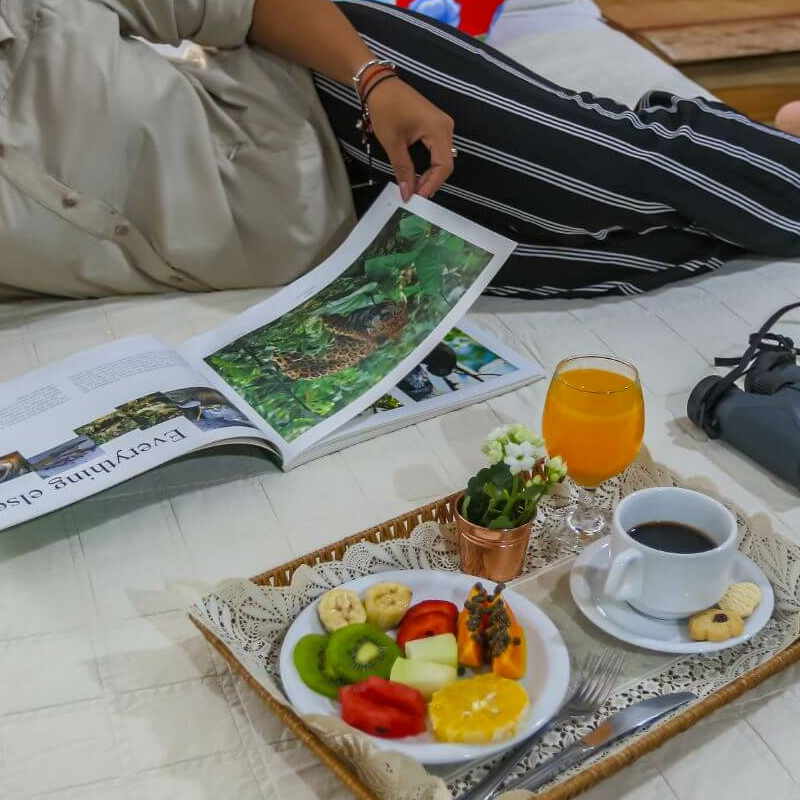 South Wild Pantanal Lodge