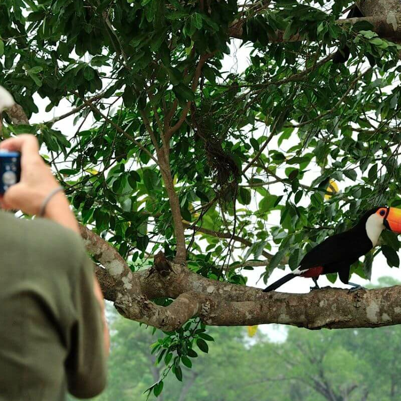South Wild Pantanal Lodge