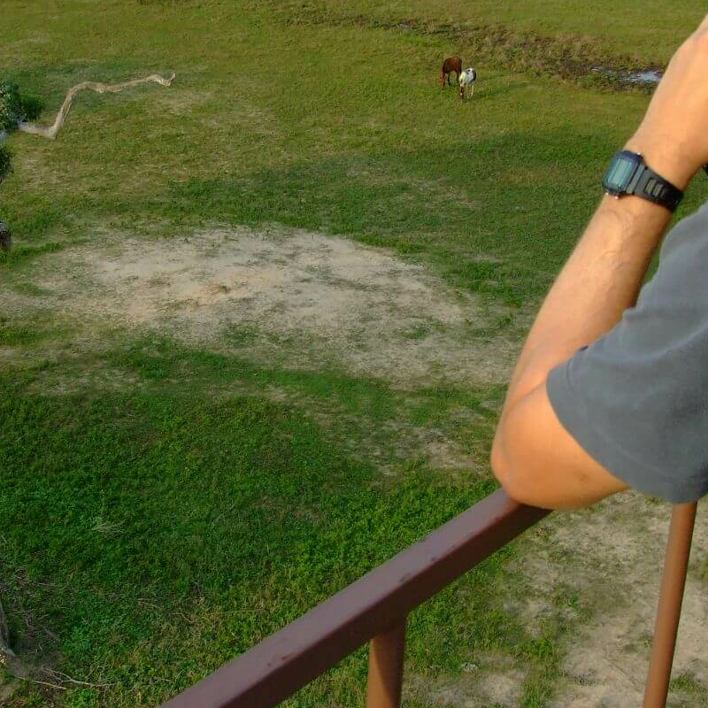 South Wild Pantanal Lodge