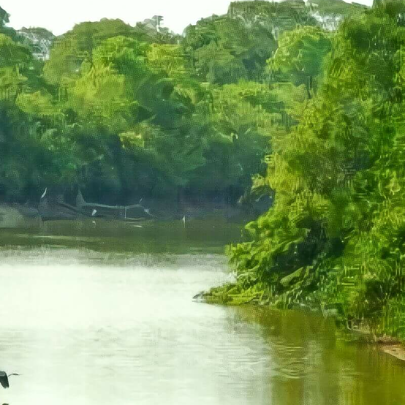 South Wild Pantanal Lodge
