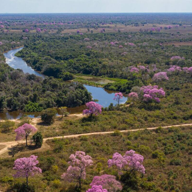 South Wild Pantanal Lodge