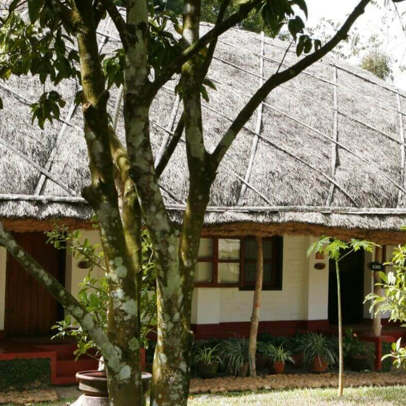 Spice Village