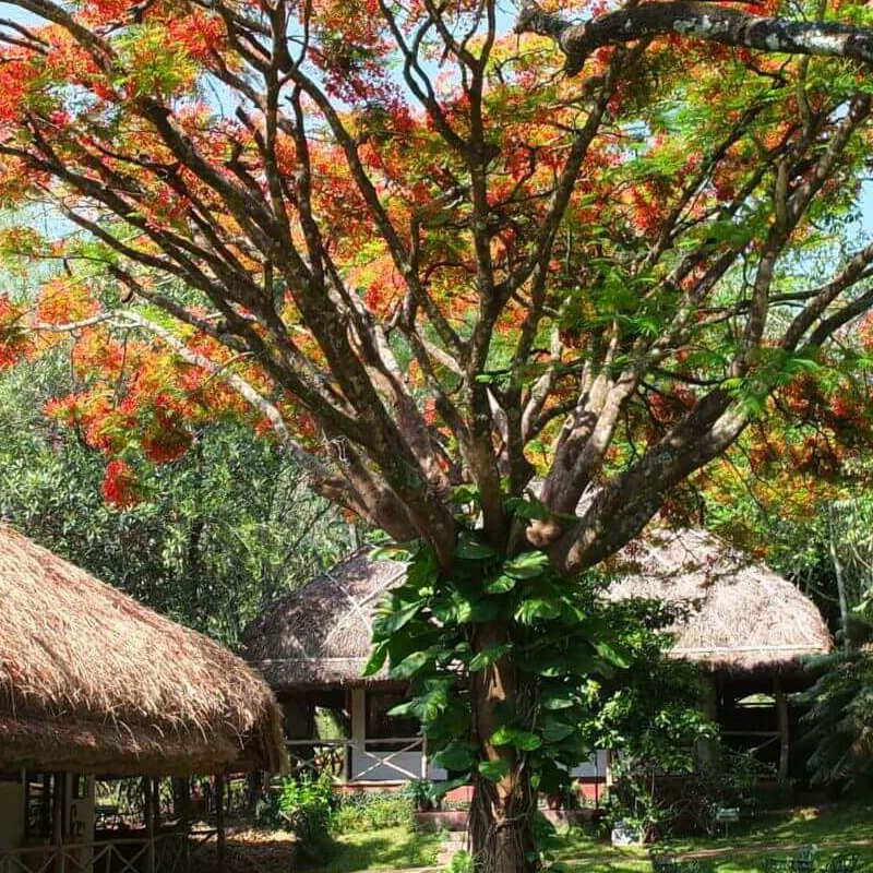 Spice Village