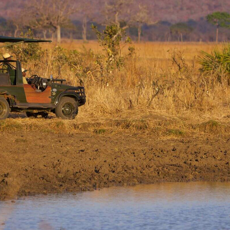 Stanley’s Kopje Camp