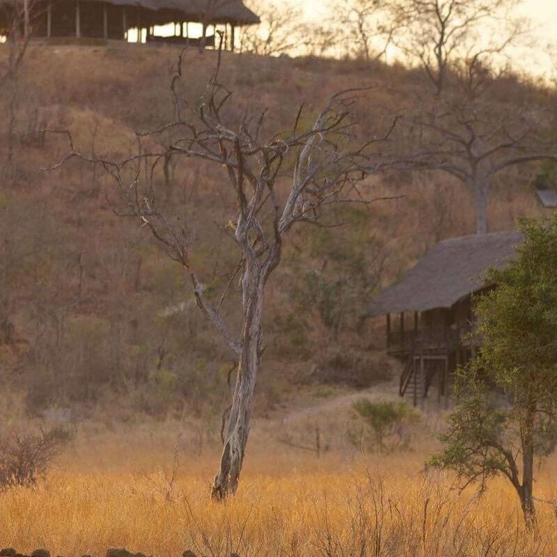 Stanley’s Kopje Camp
