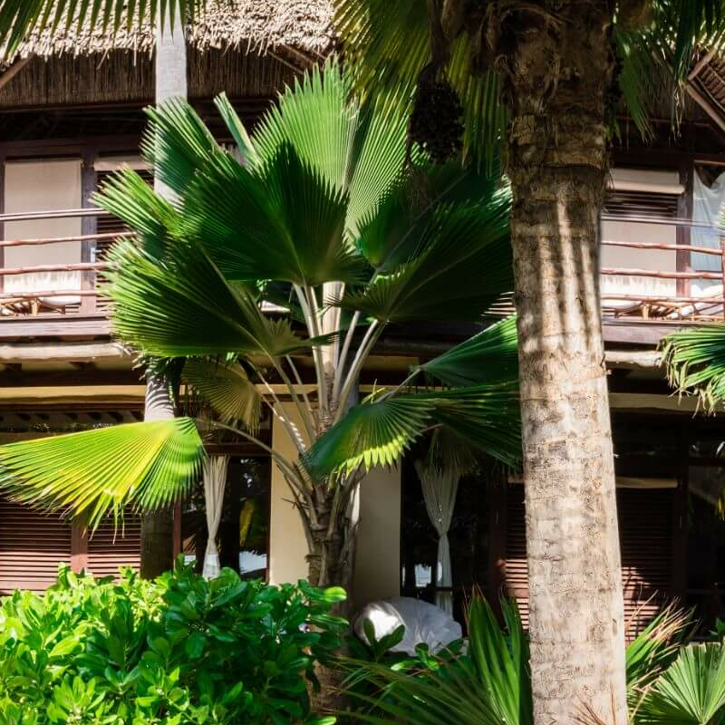 Sunshine Hotel