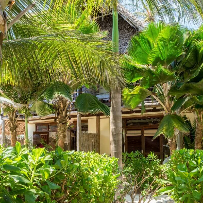 Sunshine Hotel