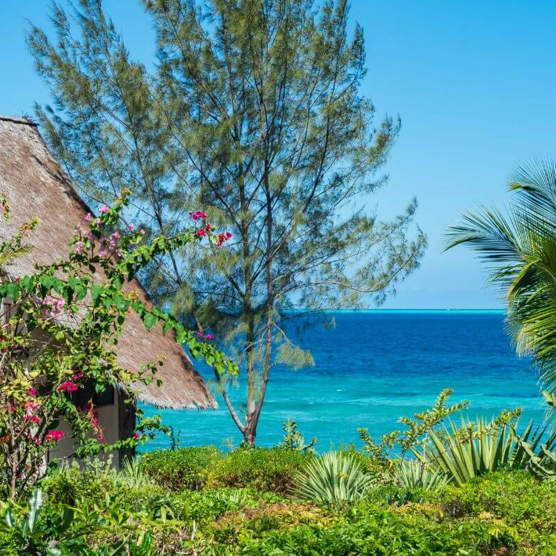 Sunshine Marine Lodge