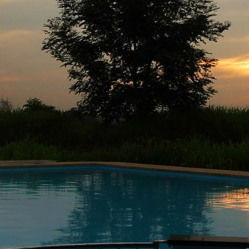 Svasara Jungle Lodge