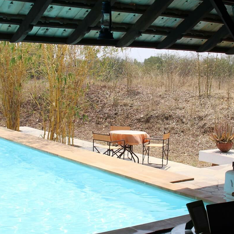 Svasara Jungle Lodge