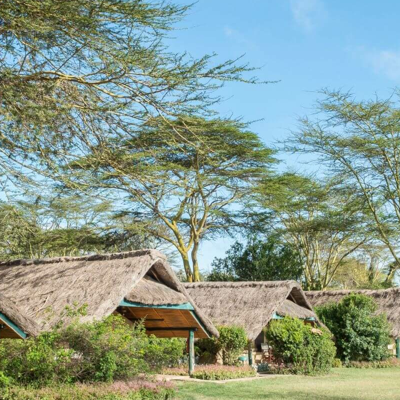 Sweetwaters Serena Camp