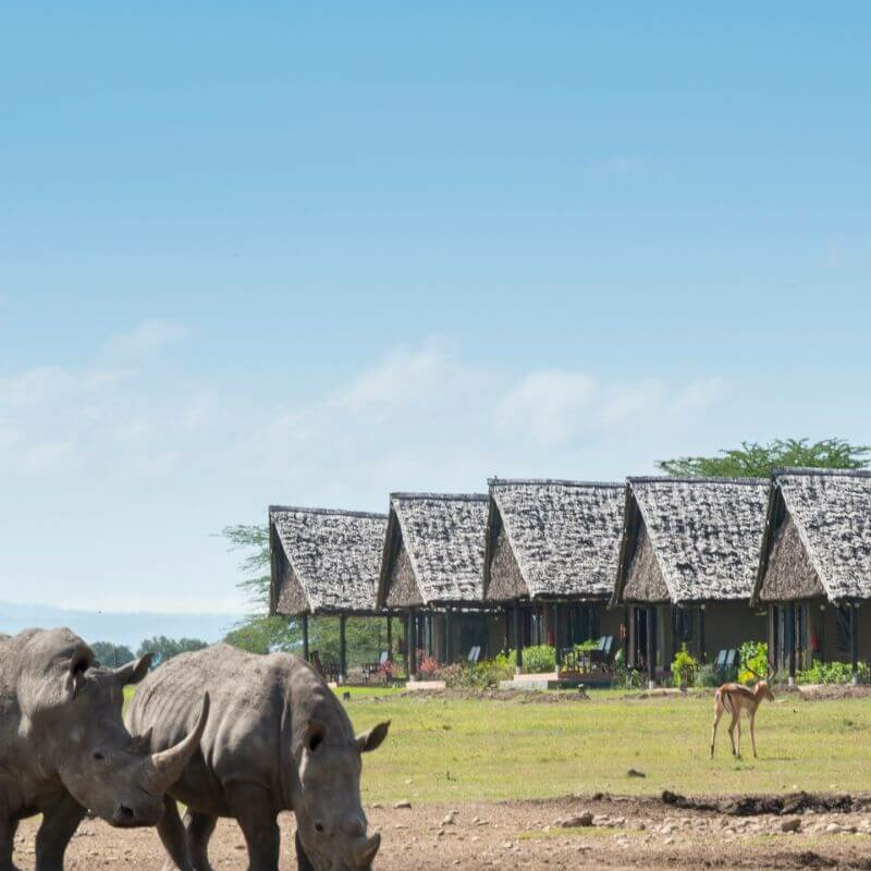 Sweetwaters Serena Camp