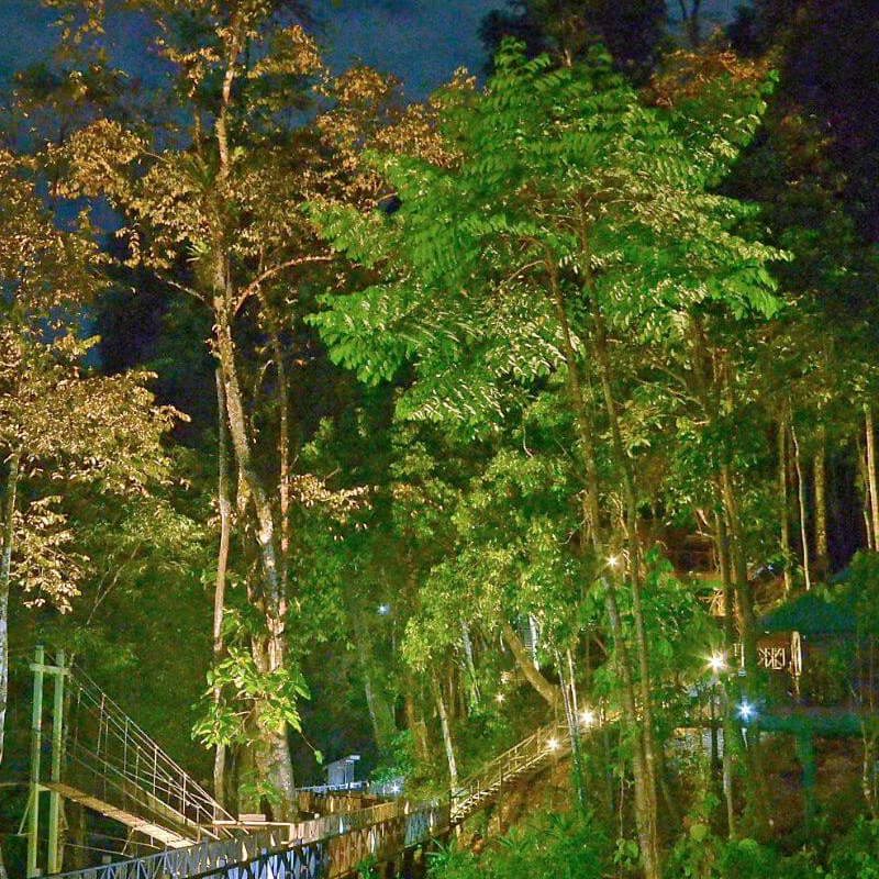 Tabin Wildlife Resort