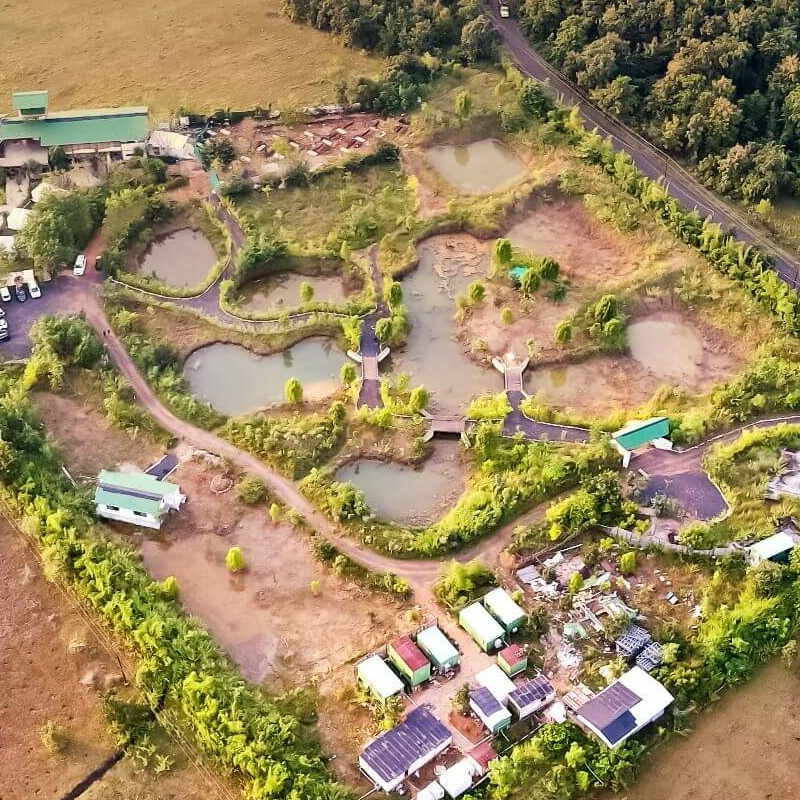 Tadoba Jungle Camp