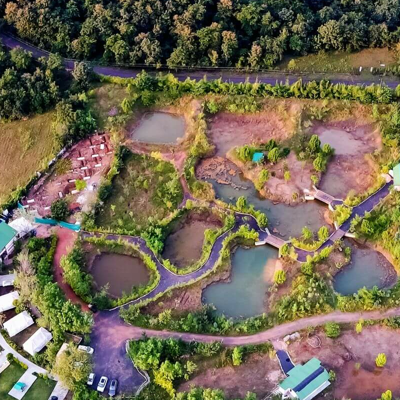 Tadoba Jungle Camp