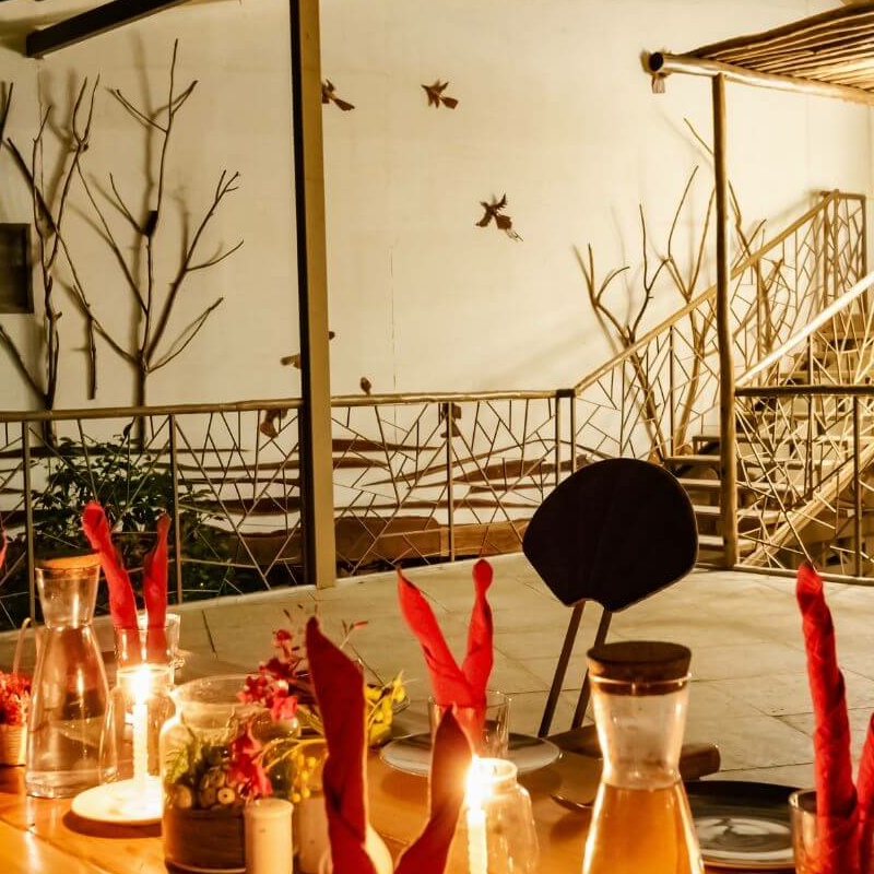 Tadoba Jungle Camp