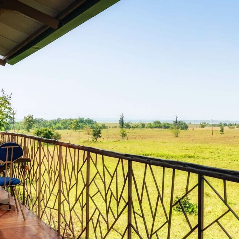 Tadoba Jungle Camp