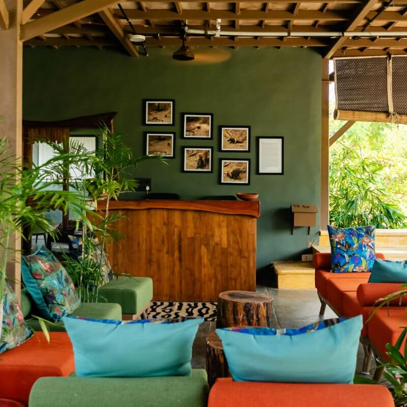Tadoba Jungle Camp