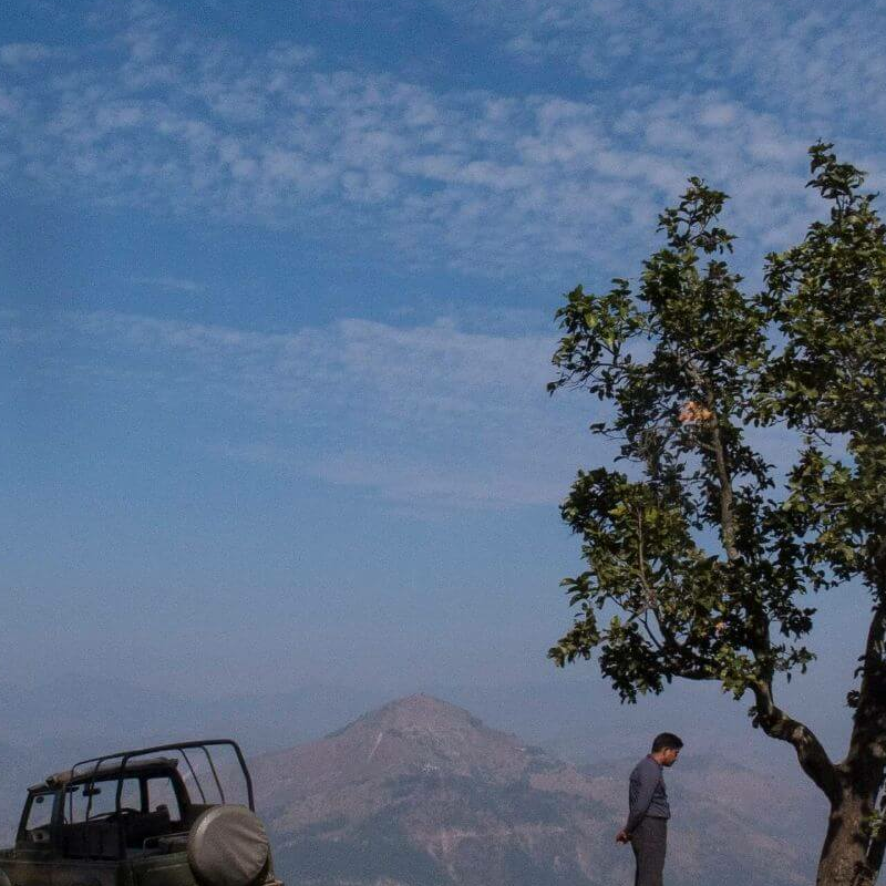 Tanhau