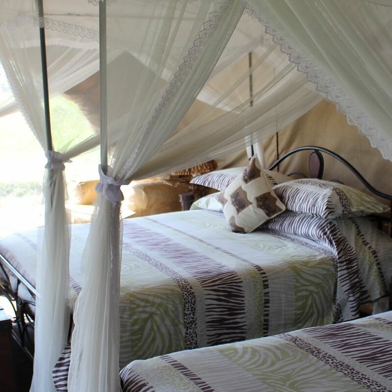 Tanzania Ndutu Bush Camp