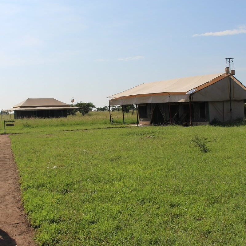 Tanzania Ndutu Bush Camp