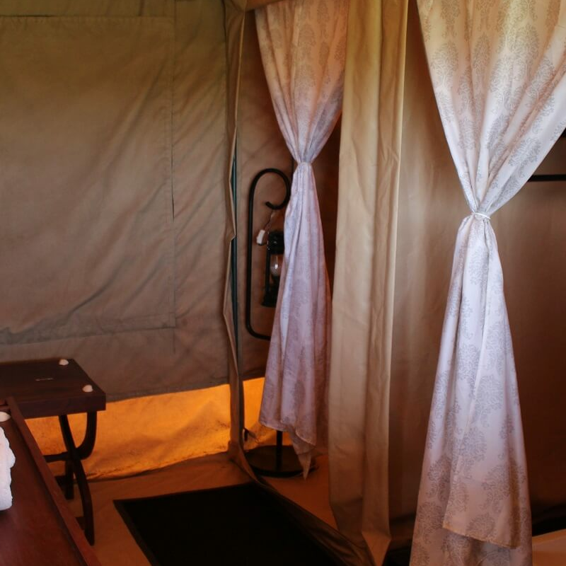 Tanzania Ndutu Bush Camp