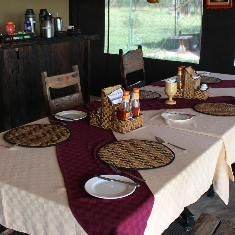 Tanzania Ndutu Bush Camp