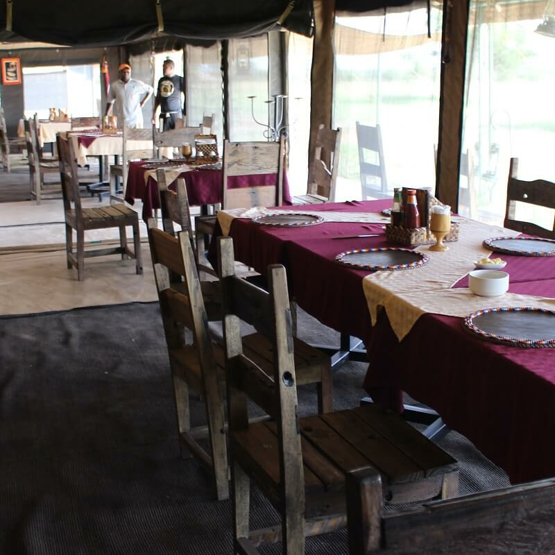 Tanzania Ndutu Bush Camp