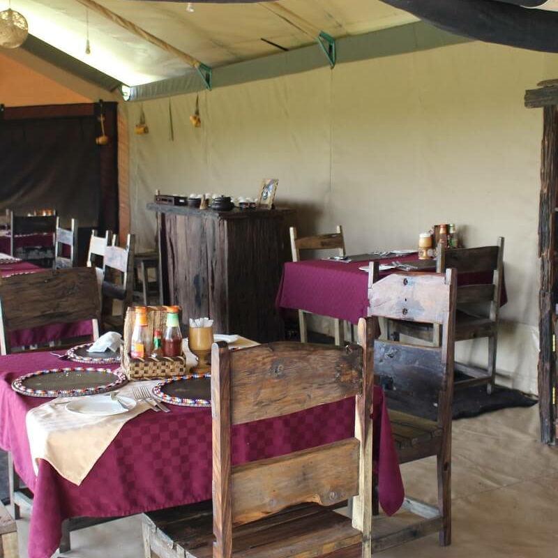 Tanzania Ndutu Bush Camp