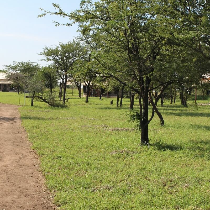 Tanzania Ndutu Bush Camp