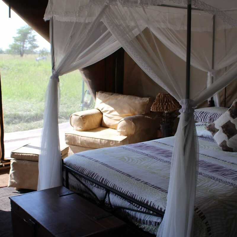 Tanzania Ndutu Bush Camp