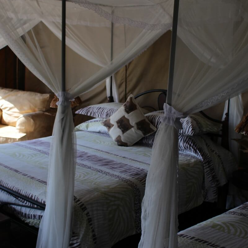 Tanzania Ndutu Bush Camp
