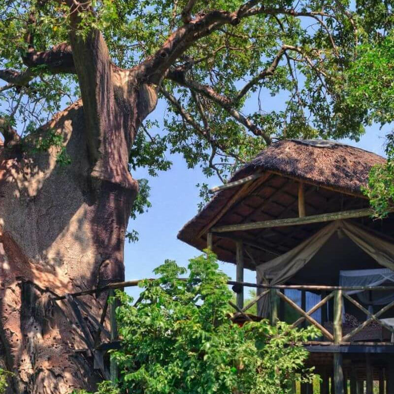 Tarangire River Camp