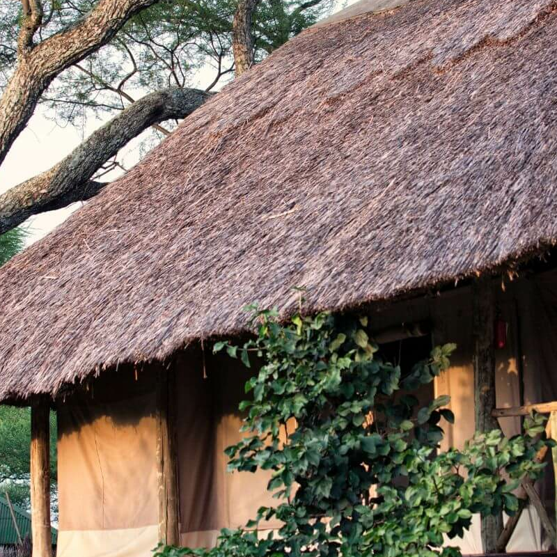 Tarangire River Camp