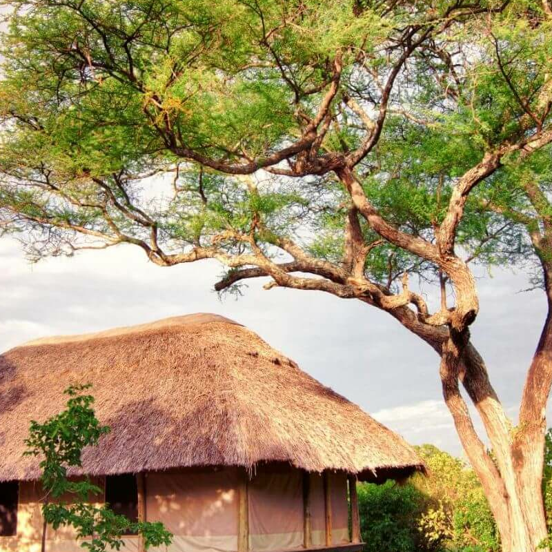 Tarangire River Camp