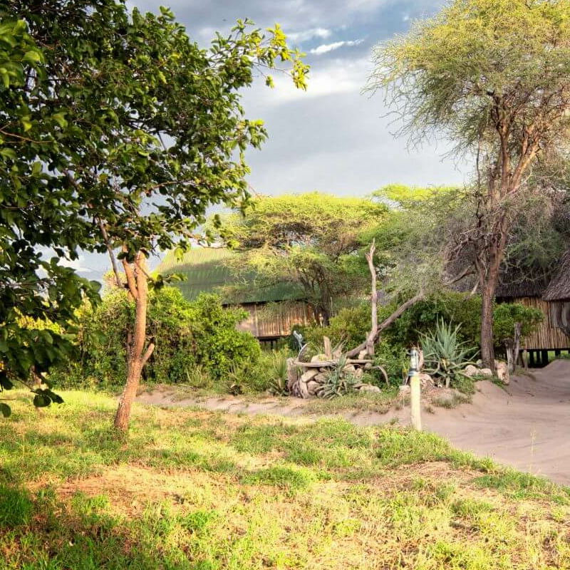 Tarangire River Camp