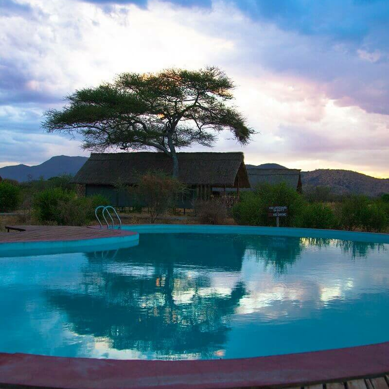 Tarangire Simba Lodge