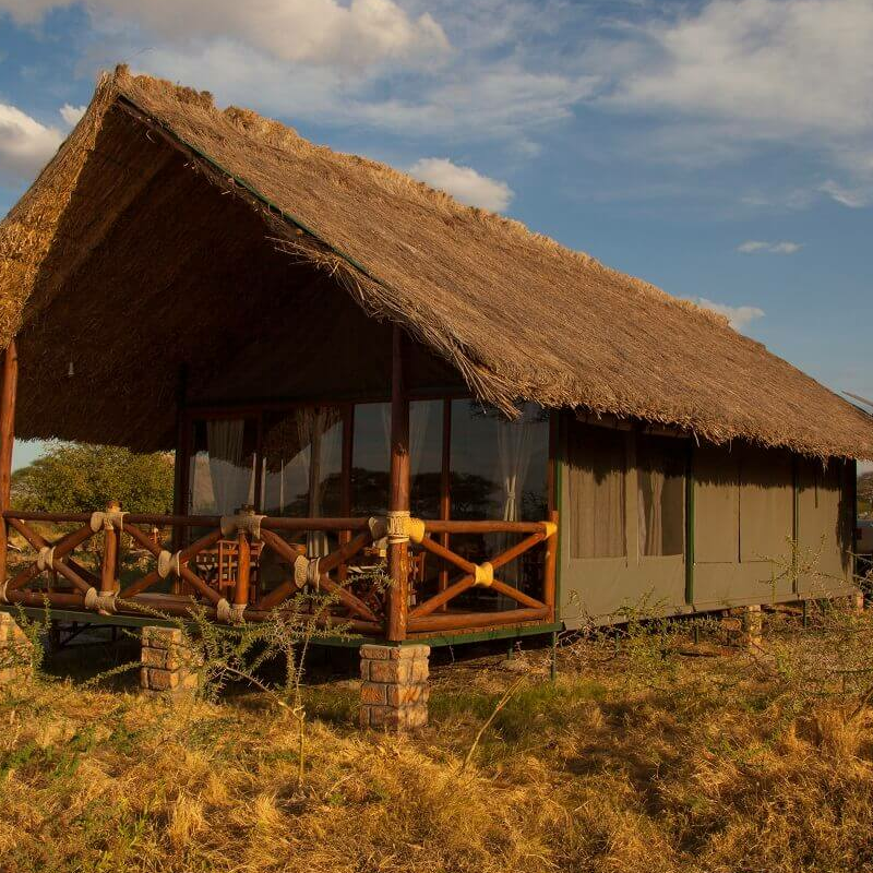Tarangire Simba Lodge