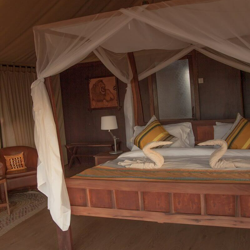 Tarangire Simba Lodge